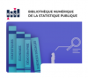 Logo Bibliothèque numérique de la statistique publique