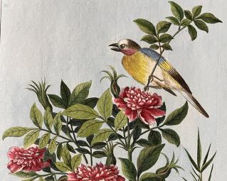fleurs de chine oiseau