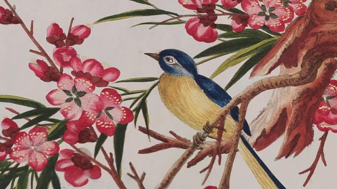 Oiseau sur une branche. Gravure peinte, cote 1373