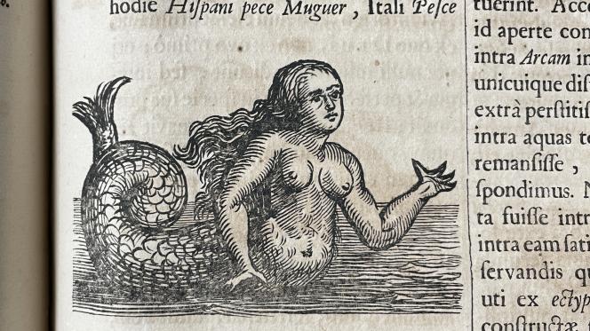 Sirène, dans un livre du XVIIe siècle