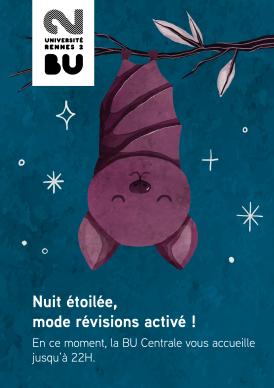 affiche chauve souris 22h 