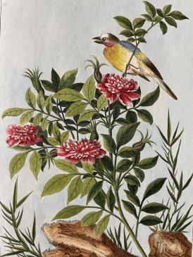 Illustration oiseau sur branche fleurie 