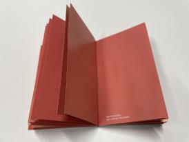 Matthieu Saladin, La Popularité des conflits